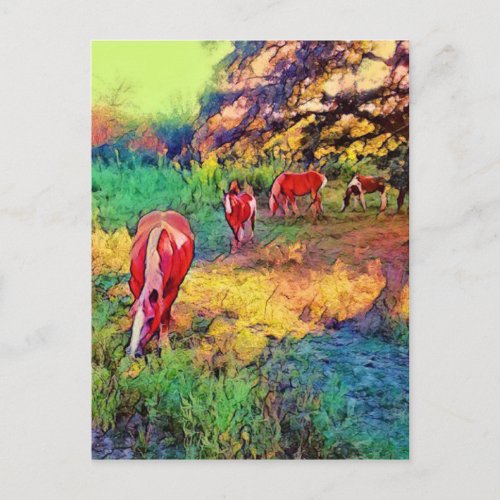 Horses in a Pasture Postcard