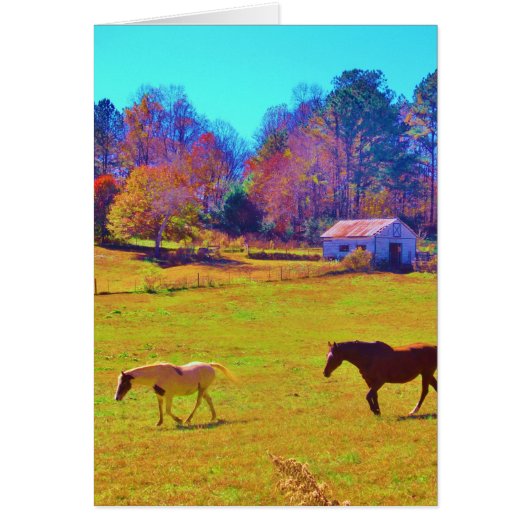 Horses in a Rainbow Colored Field (Front)