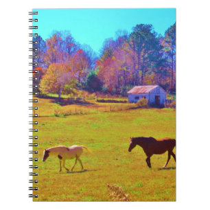 Horses in a Rainbow Colored Field Notebook