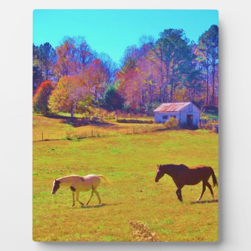 Horses in a Rainbow Colored Field Plaque
