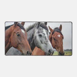 horses in a row desk mat