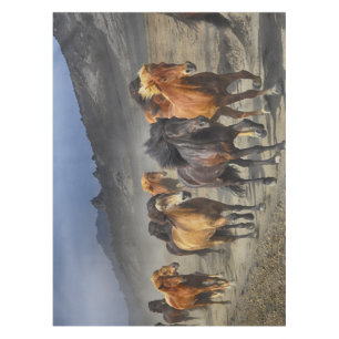 Horses in a shoot tablecloth