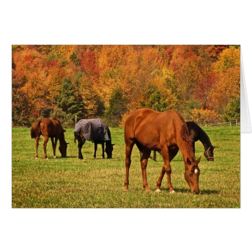 Horses in Autumn Blank Card