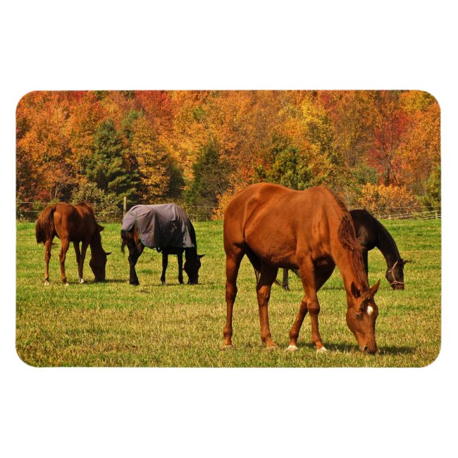 Horses in Autumn