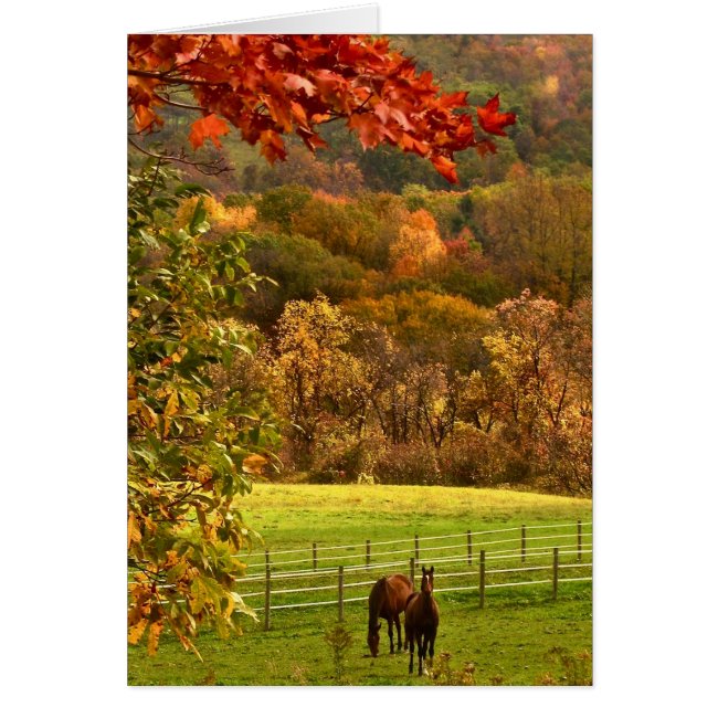 Horses in Autumn Thank You