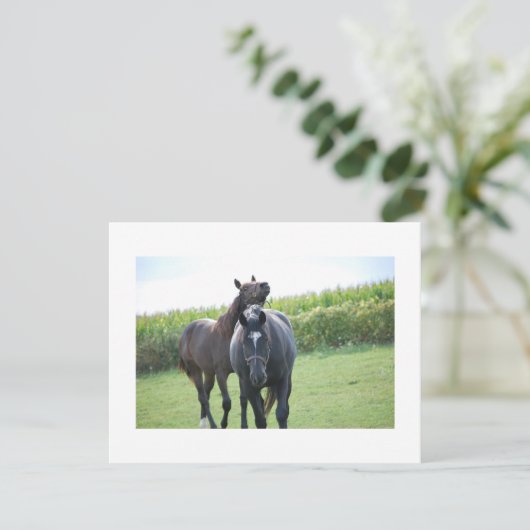 Horses in Love (Standing Front)