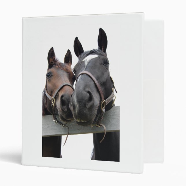 Horses in Love Binder (Front/Inside)