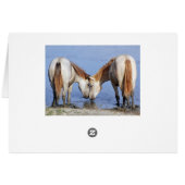 HORSES IN LOVE CARDS (Back Horizontal)
