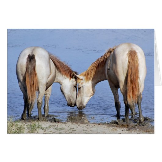 HORSES IN LOVE CARDS (Front Horizontal)