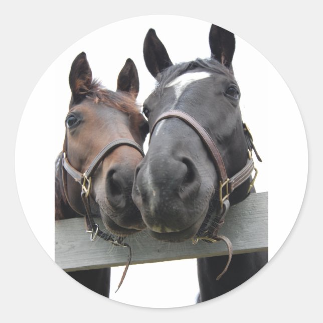 Horses in Love Classic Round Sticker (Front)