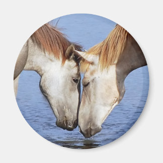 HORSES IN LOVE MAGNET