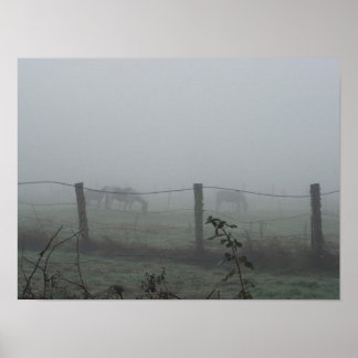 Horses In Morning Fog Poster