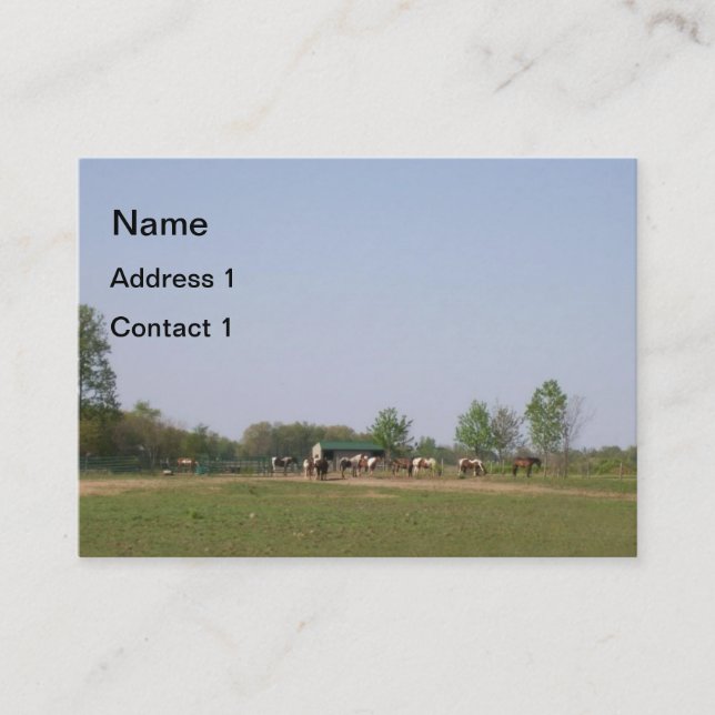 Horses in Nature Business Card (Front)