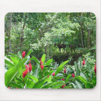 Horses in Paradise Mouse Pad