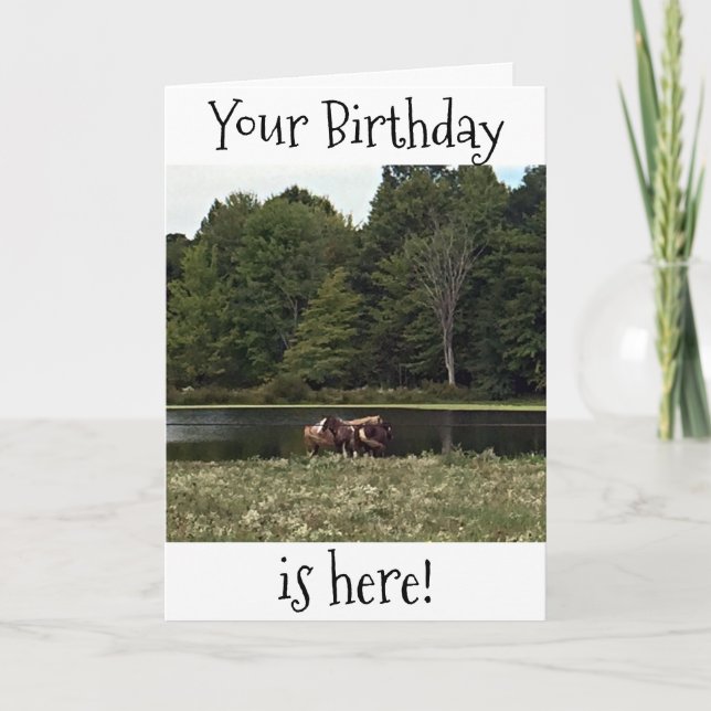 HORSES IN PASTURE ARE GREAT FOR YOUR BIRTHDAY CARD (Front)
