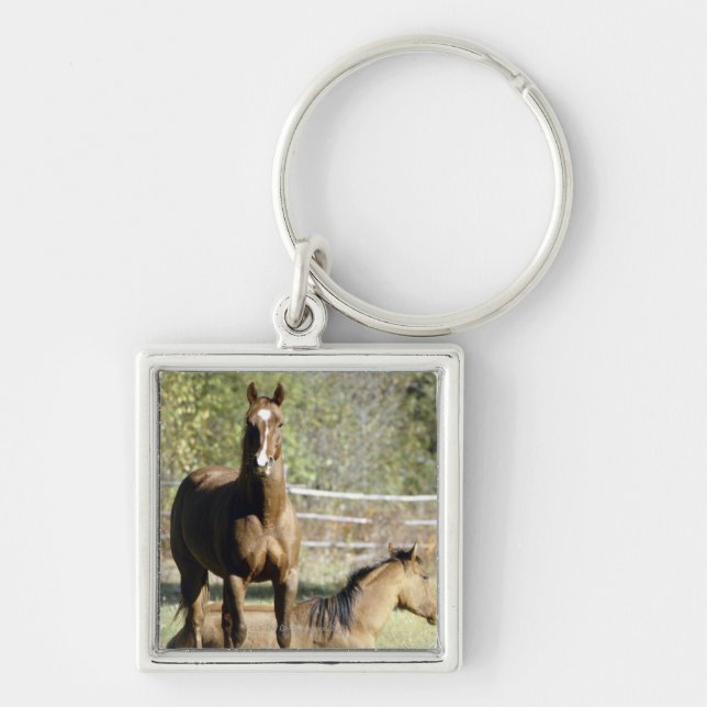 Horses in pasture keychain (Front)