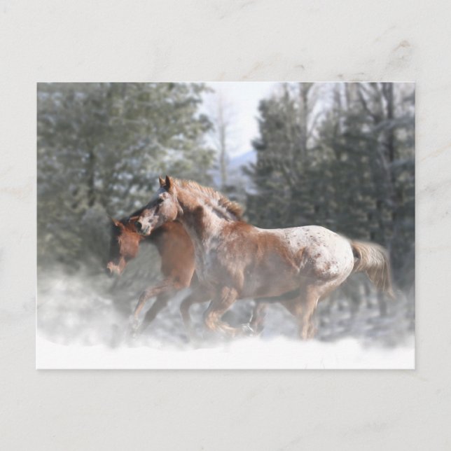 Horses in Snow Christmas Postcard (Front)