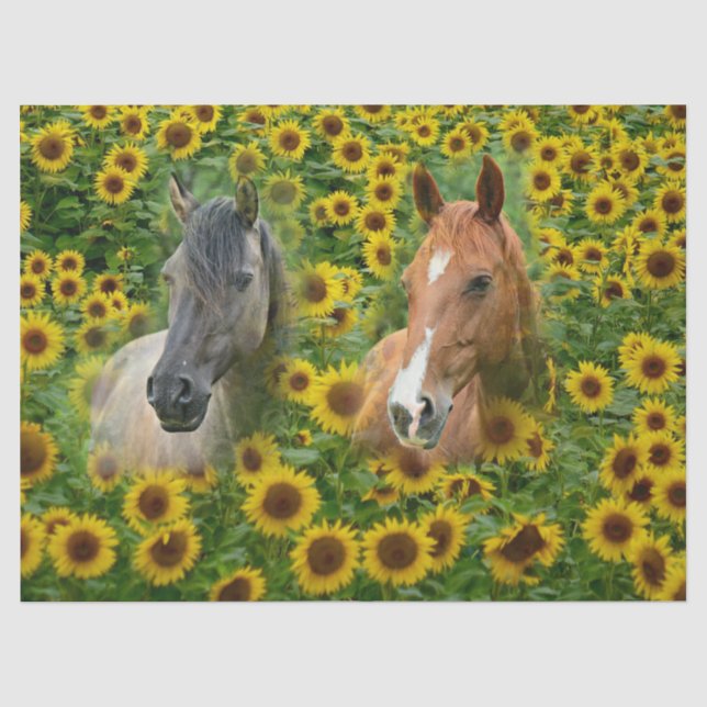 Horses in Sunflower Field Tissue Paper (Front)