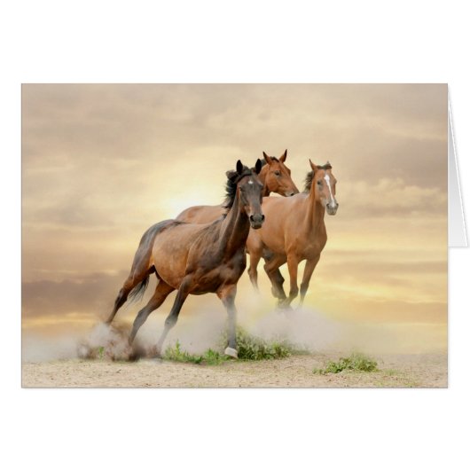 Horses In Sunset Cards (Front Horizontal)