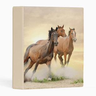 Horses In Sunset Mini Binder