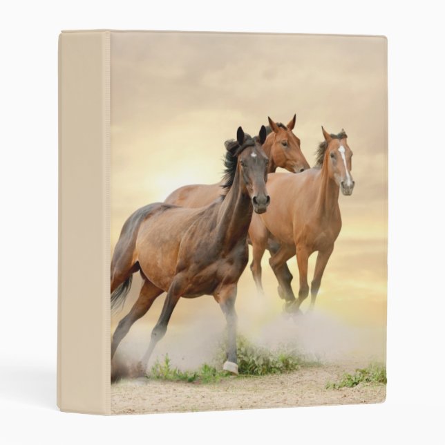 Horses In Sunset Mini Binder (Front/Spine)