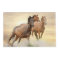 Horses In Sunset