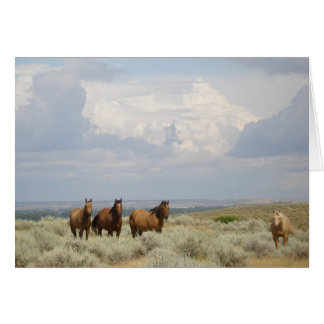 Horses in the American West Cards