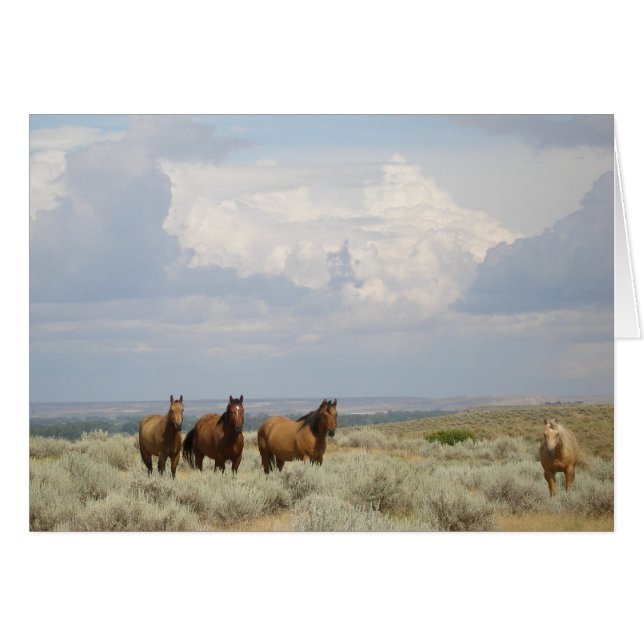 Horses in the American West Cards (Front Horizontal)