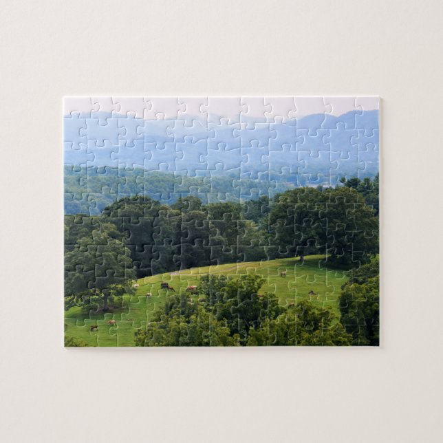 Horses in the Blue Ridge Mountains - 8x10 inch Jigsaw Puzzle (Horizontal)