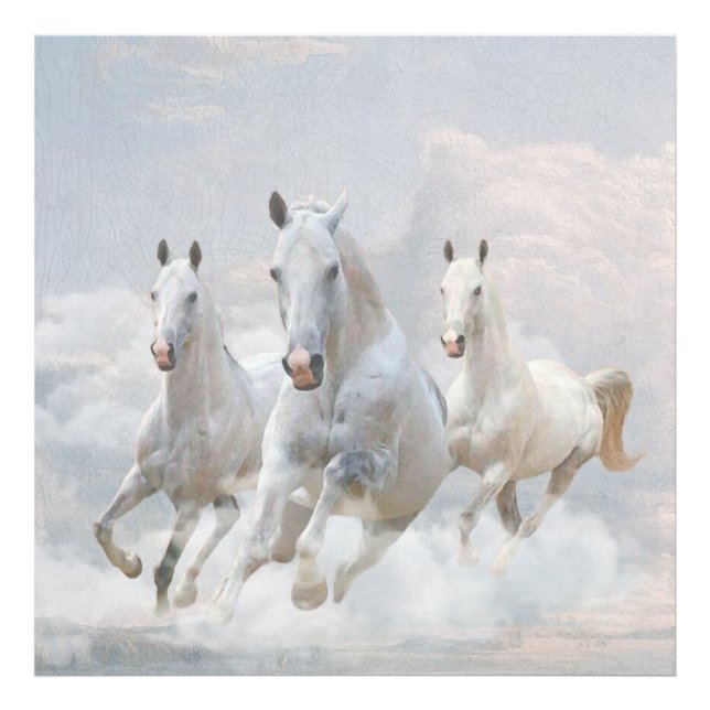 Horses in the clouds    photo print (Front)