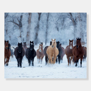 Horses in the Cold Foam Board