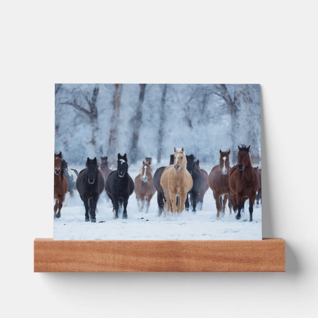 Horses in the Cold Picture Ledge (Front)
