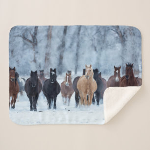 Horses in the Cold Sherpa Blanket