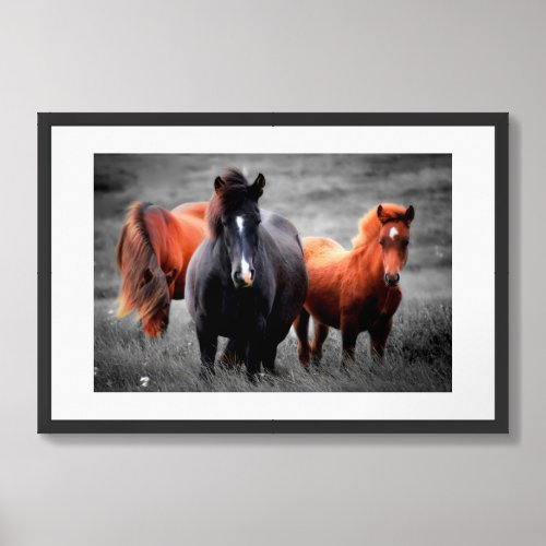 Horses In The Field Partial Color Photography Framed Art
