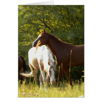 Horses in the Meadow Cards