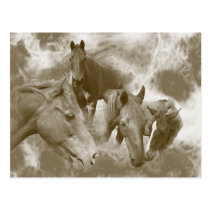 Horses in the mist horizontal postcard