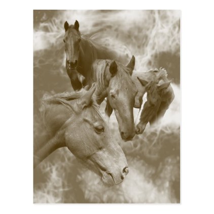 Horses in the mist vertical postcard