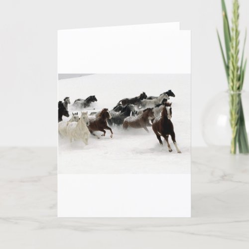 Horses in the snow card