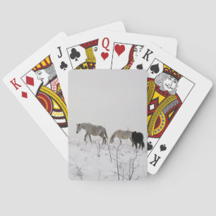Horses In the Snow Classic Playing Cards