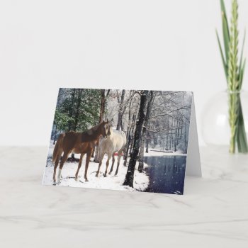 Horses In The Snow Greeting Card by horsesense at Zazzle