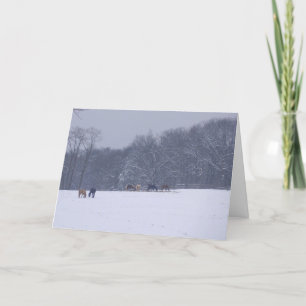 "Horses in the Snow" Holiday Card