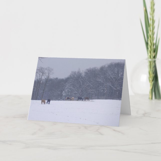 "Horses in the Snow" Holiday Card (Front)