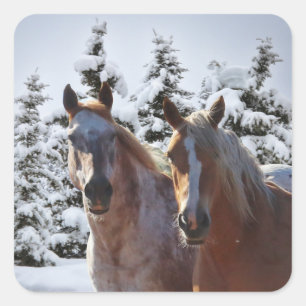 Horses in the Snow Holiday Christmas Square Sticker