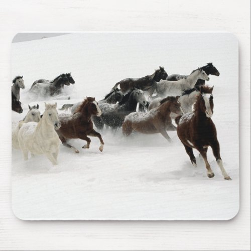 Horses in the snow mouse pad