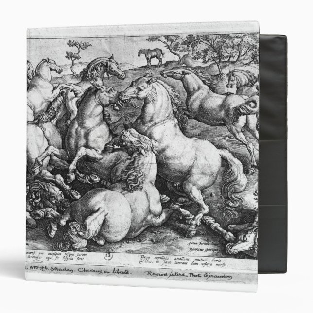 Horses in the wild 3 ring binder (Front/Inside)