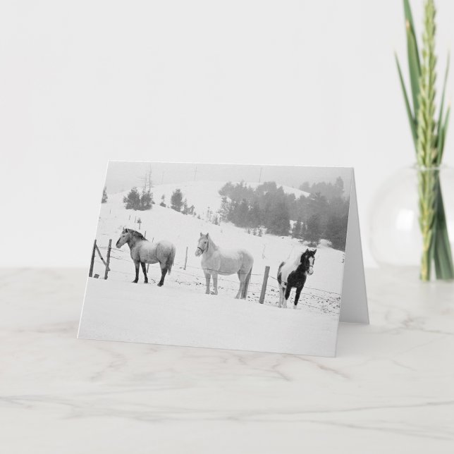 Horses In Winter Holiday Card (Front)