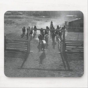 Horses into the corral mouse pad