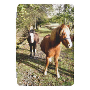 HORSES iPad MINI CASE