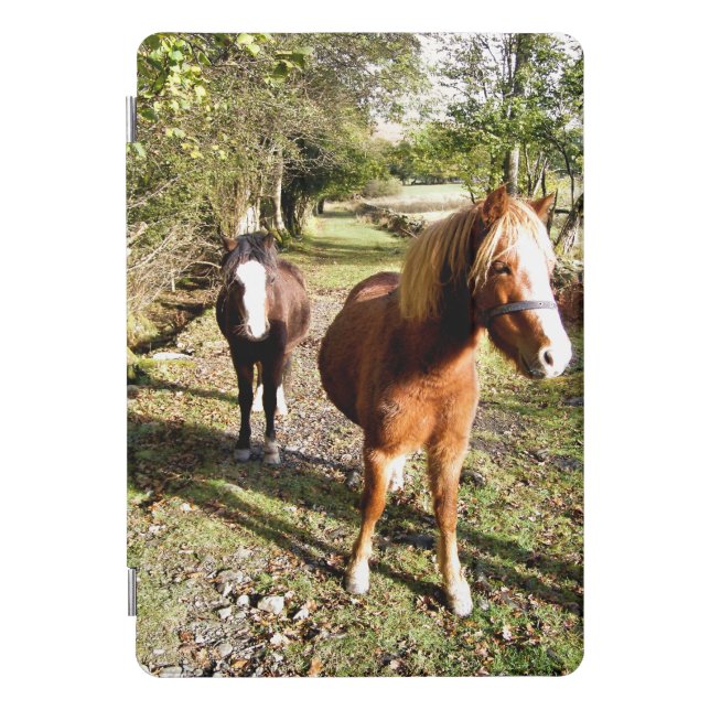 HORSES iPad MINI CASE (Front)