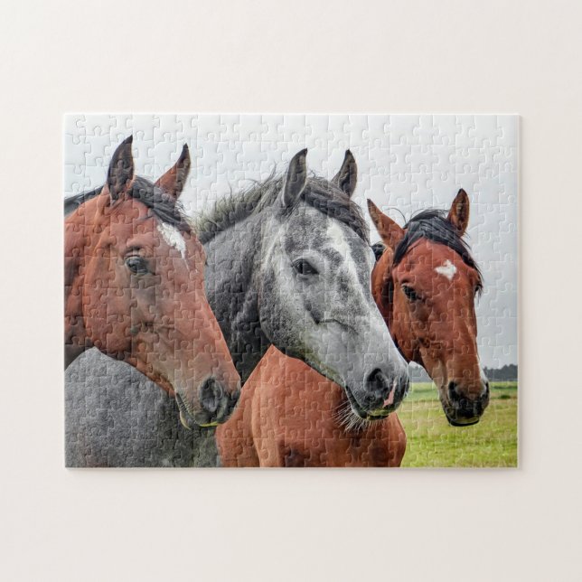 Horses Jigsaw Puzzle (Horizontal)